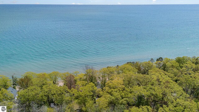 1715 Sunrise Dr, Greenbush, MI 48738 - water view