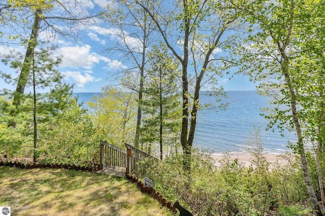 1715 Sunrise Dr, Greenbush, MI 48738 - water view