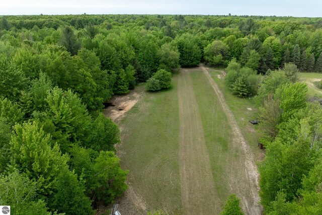 9755 E Deerfield Rd, Shepherd, MI 48883 - drone / aerial view