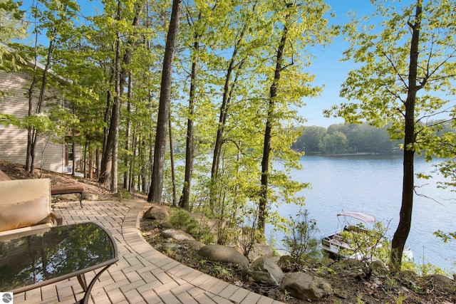 2664 Chandler Rd, Traverse City, MI 49686 - water view