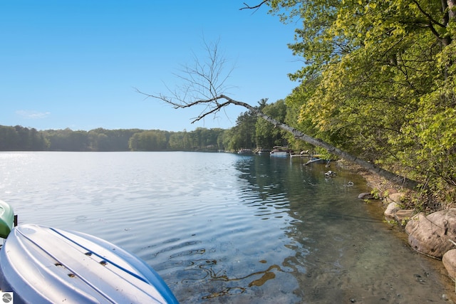 2664 Chandler Rd, Traverse City, MI 49686 - water view with a forest
