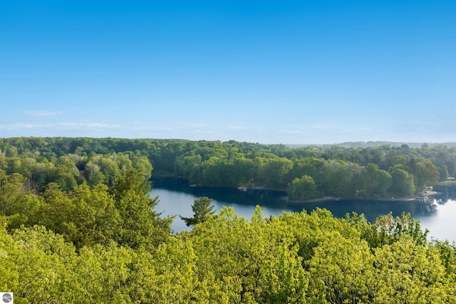 2664 Chandler Rd, Traverse City, MI 49686 - water view with a forest