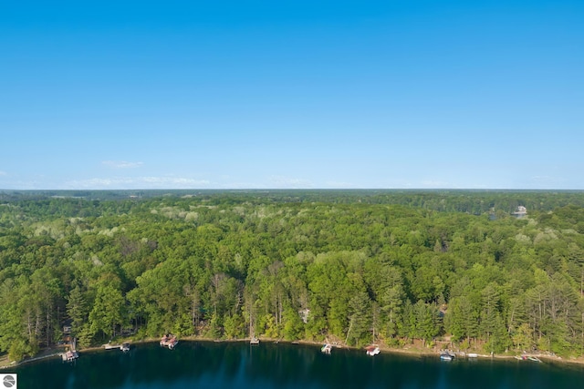 2664 Chandler Rd, Traverse City, MI 49686 - aerial view of property's location featuring a heavily wooded area and a nearby body of water