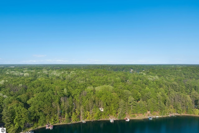 2664 Chandler Rd, Traverse City, MI 49686 - aerial view of property and surrounding area with a forest and a nearby body of water