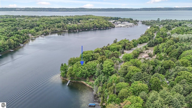 9017 Clam Lake Rd, Bellaire, MI 49615 - aerial view of a nearby body of water and a heavily wooded area