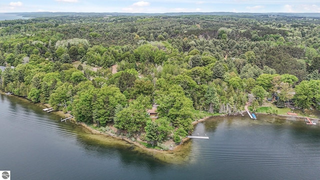 9017 Clam Lake Rd, Bellaire, MI 49615 - aerial view of property's location with a forest and a large body of water