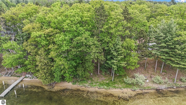 9017 Clam Lake Rd, Bellaire, MI 49615 - view of wooded area
