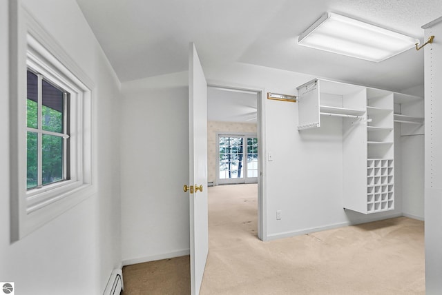 9017 Clam Lake Rd, Bellaire, MI 49615 - walk in closet featuring light colored carpet