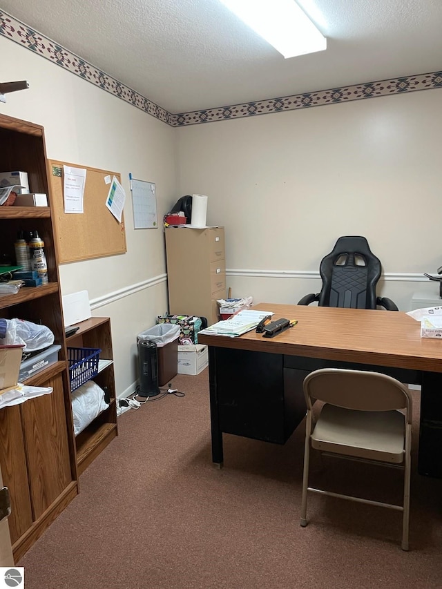 8055 S Castle Dr, Sheridan, MI 48884 - home office with carpet flooring and a textured ceiling