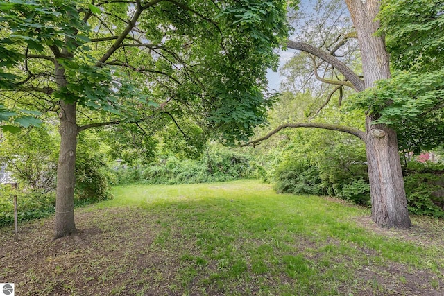 212 Palmer St, Mount Pleasant, MI 48858 - view of yard