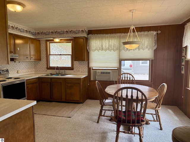 217 Evans St, East Tawas, MI 48730 - kitchen featuring range with electric stovetop, a sink, light carpet, light countertops, and exhaust hood