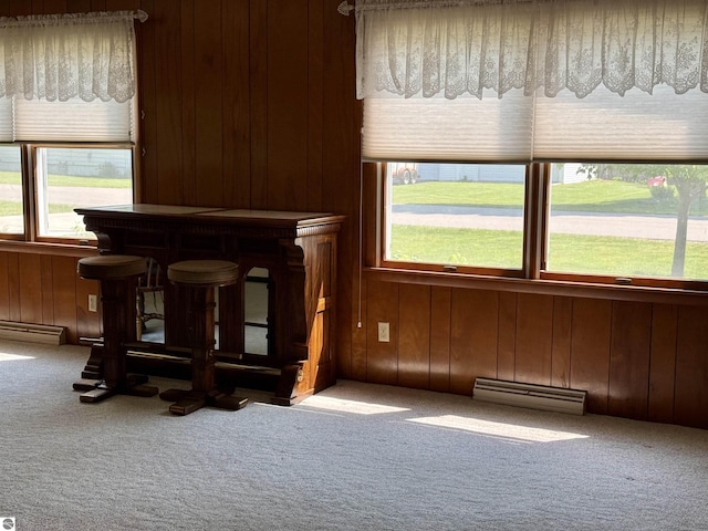 217 Evans St, East Tawas, MI 48730 - detailed view of carpet floors, a baseboard heating unit, wood walls, and a baseboard radiator