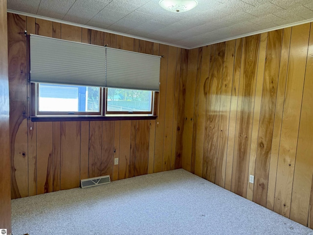 217 Evans St, East Tawas, MI 48730 - carpeted empty room with plenty of natural light and wood walls