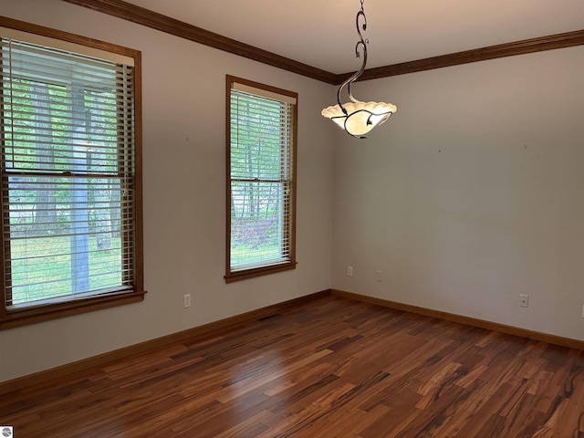 5867 Huron Woods Dr, Tawas City, MI 48763 - spare room with crown molding, plenty of natural light, dark wood-type flooring, and baseboards