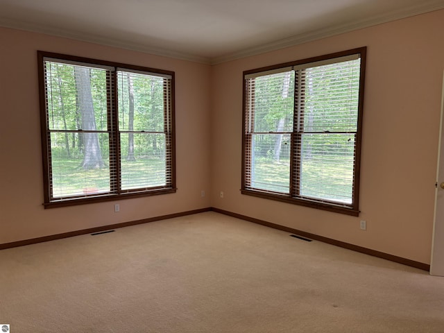 5867 Huron Woods Dr, Tawas City, MI 48763 - unfurnished room featuring ornamental molding, healthy amount of natural light, light carpet, and baseboards
