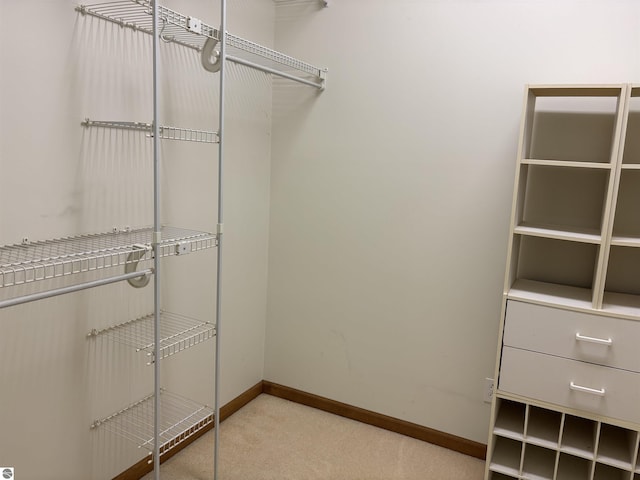 5867 Huron Woods Dr, Tawas City, MI 48763 - spacious closet with light colored carpet
