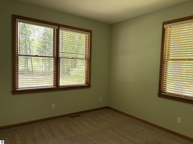 5867 Huron Woods Dr, Tawas City, MI 48763 - empty room featuring carpet floors, healthy amount of natural light, and baseboards