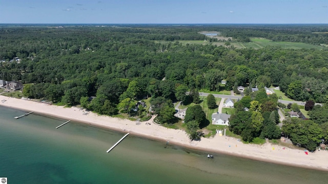 5867 Huron Woods Dr, Tawas City, MI 48763 - view of property location with a heavily wooded area and a nearby body of water