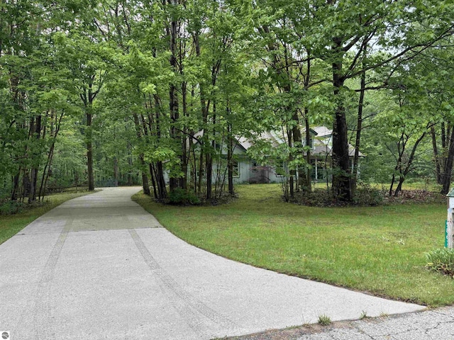 5867 Huron Woods Dr, Tawas City, MI 48763 - view of community with concrete driveway and a yard