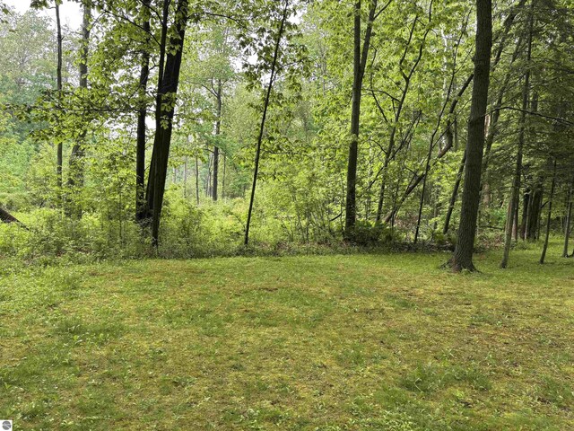 5867 Huron Woods Dr, Tawas City, MI 48763 - view of woods