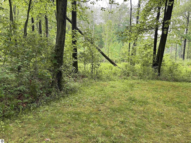 5867 Huron Woods Dr, Tawas City, MI 48763 - view of wooded area