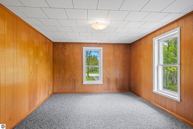 12570 N Cathead Point Rd, Northport, MI 49670 - unfurnished room featuring plenty of natural light, carpet, and wood walls