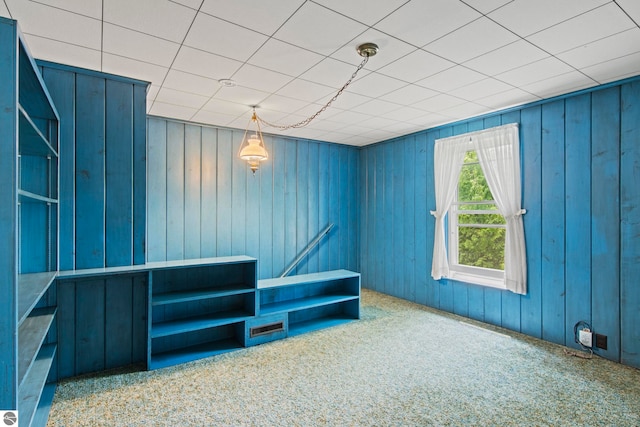 12570 N Cathead Point Rd, Northport, MI 49670 - miscellaneous room with wooden walls and carpet floors