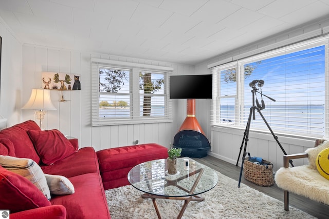 5896 S Cummings St, Suttons Bay, MI 49682 - living area featuring wood finished floors and a wood stove
