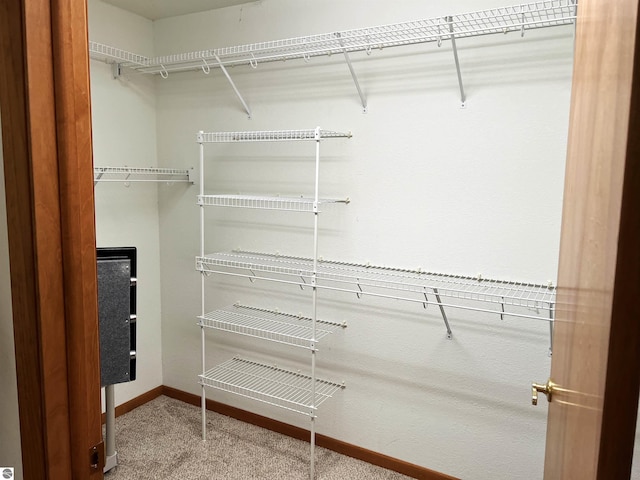 1619 E Gaylord St Unit A, Mount Pleasant, MI 48858 - walk in closet featuring carpet