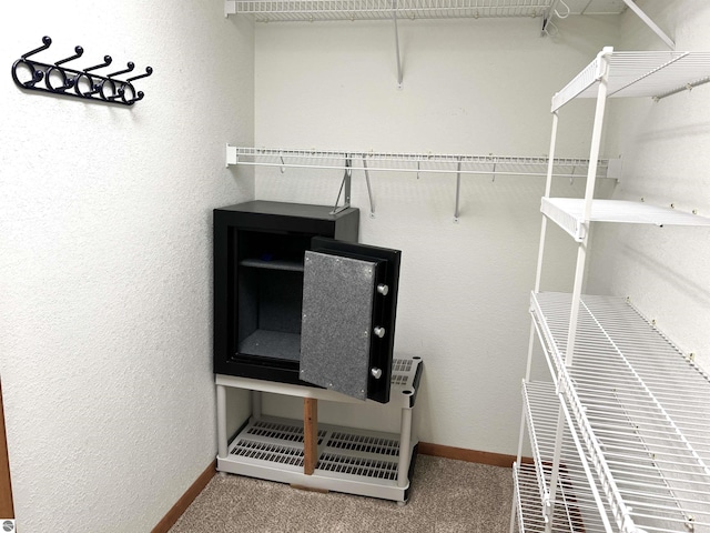 1619 E Gaylord St Unit A, Mount Pleasant, MI 48858 - walk in closet featuring carpet floors