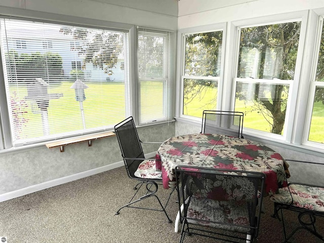 1619 E Gaylord St Unit A, Mount Pleasant, MI 48858 - sunroom with baseboards and carpet flooring