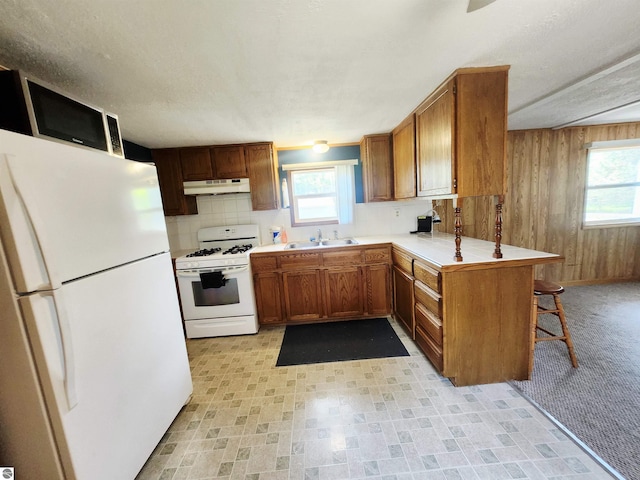 3764 E N Down River Rd, Grayling, MI 49738 - kitchen with white appliances, under cabinet range hood, light countertops, a sink, and a peninsula