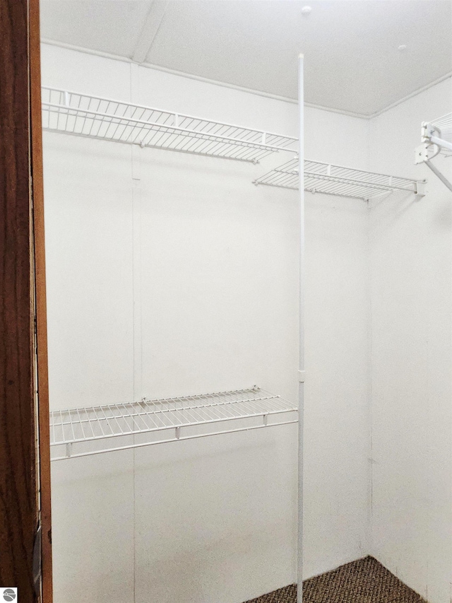 3764 E N Down River Rd, Grayling, MI 49738 - view of spacious closet