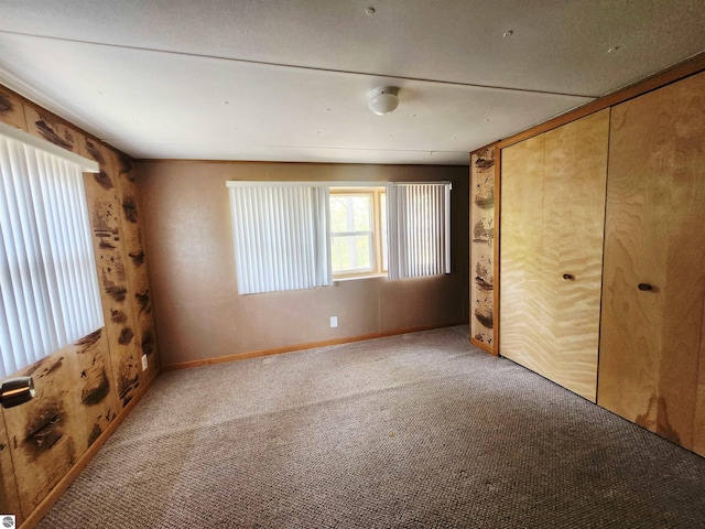 3764 E N Down River Rd, Grayling, MI 49738 - unfurnished bedroom with carpet, baseboards, and a closet