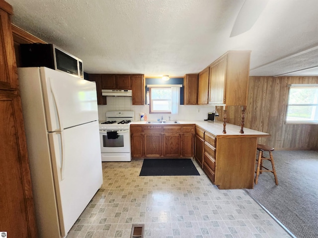 3764 E N Down River Rd, Grayling, MI 49738 - kitchen featuring white appliances, under cabinet range hood, a sink, plenty of natural light, and wooden walls