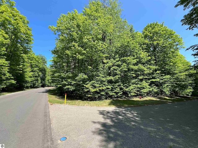 V/L144 Troon S, Bellaire, MI 49615