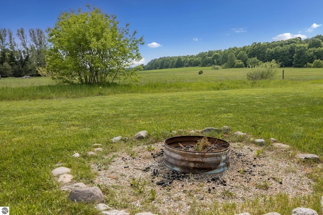 3362 S French Rd, Cedar, MI 49621 - view of grassy yard with a rural view