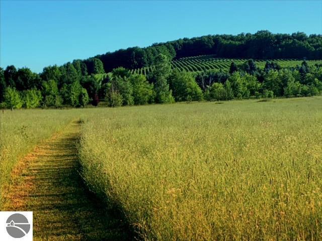 3362 S French Rd, Cedar, MI 49621 - view of local wilderness with rural landscape and rows of crops