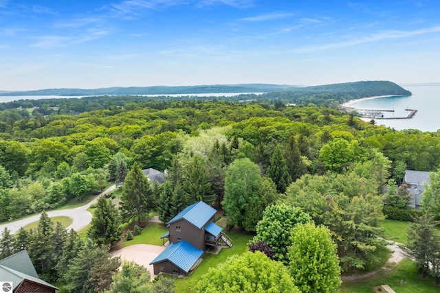 110 W Terrace Lane Commons, Leland, MI 49654 - aerial view of a heavily wooded area and a large body of water