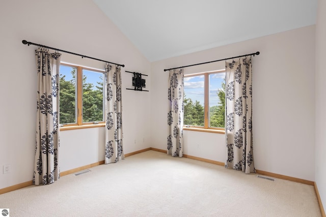 110 W Terrace Lane Commons, Leland, MI 49654 - spare room featuring baseboards, carpet, and high vaulted ceiling