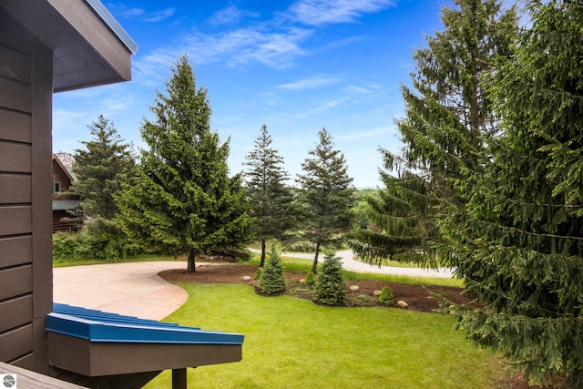110 W Terrace Lane Commons, Leland, MI 49654 - view of green lawn