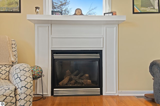 112 N Benzie Blvd, Beulah, MI 49617 - detailed view of a glass covered fireplace and wood finished floors