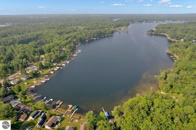 4823 Lakeside Blvd, Hale, MI 48739 - aerial view of a forest and a large body of water
