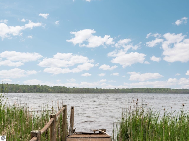10037 Mud Lake Rd, Interlochen, MI 49643 - dock area with a water view and a forest view