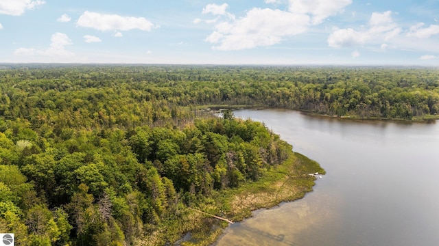 10037 Mud Lake Rd, Interlochen, MI 49643 - bird's eye view of a forest and a nearby body of water