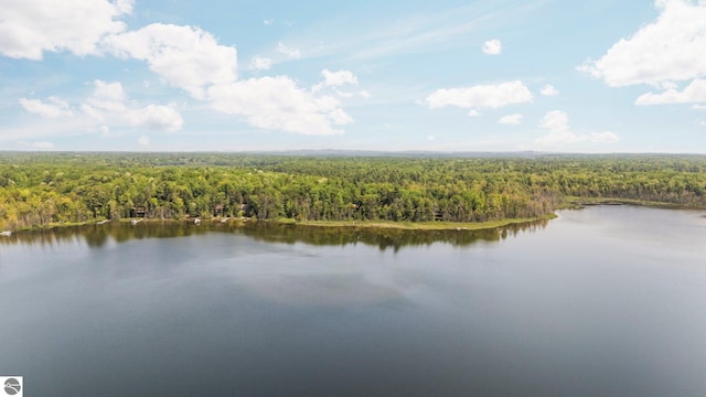 10037 Mud Lake Rd, Interlochen, MI 49643 - water view featuring a forest