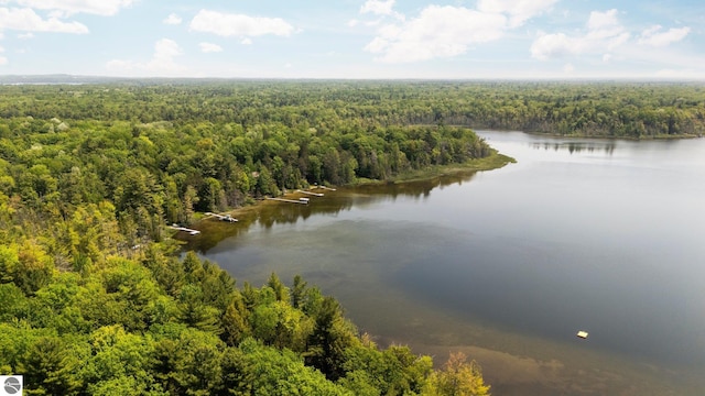10037 Mud Lake Rd, Interlochen, MI 49643 - aerial view of a heavily wooded area and a large body of water