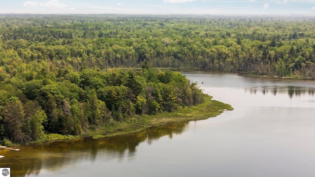 10037 Mud Lake Rd, Interlochen, MI 49643 - water view featuring a forest