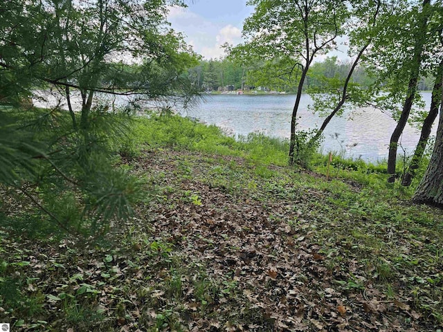 LOT16 Paradise Dr, South Branch, MI 48761