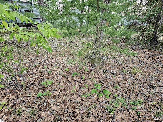 LOT16 Paradise Dr, South Branch, MI 48761